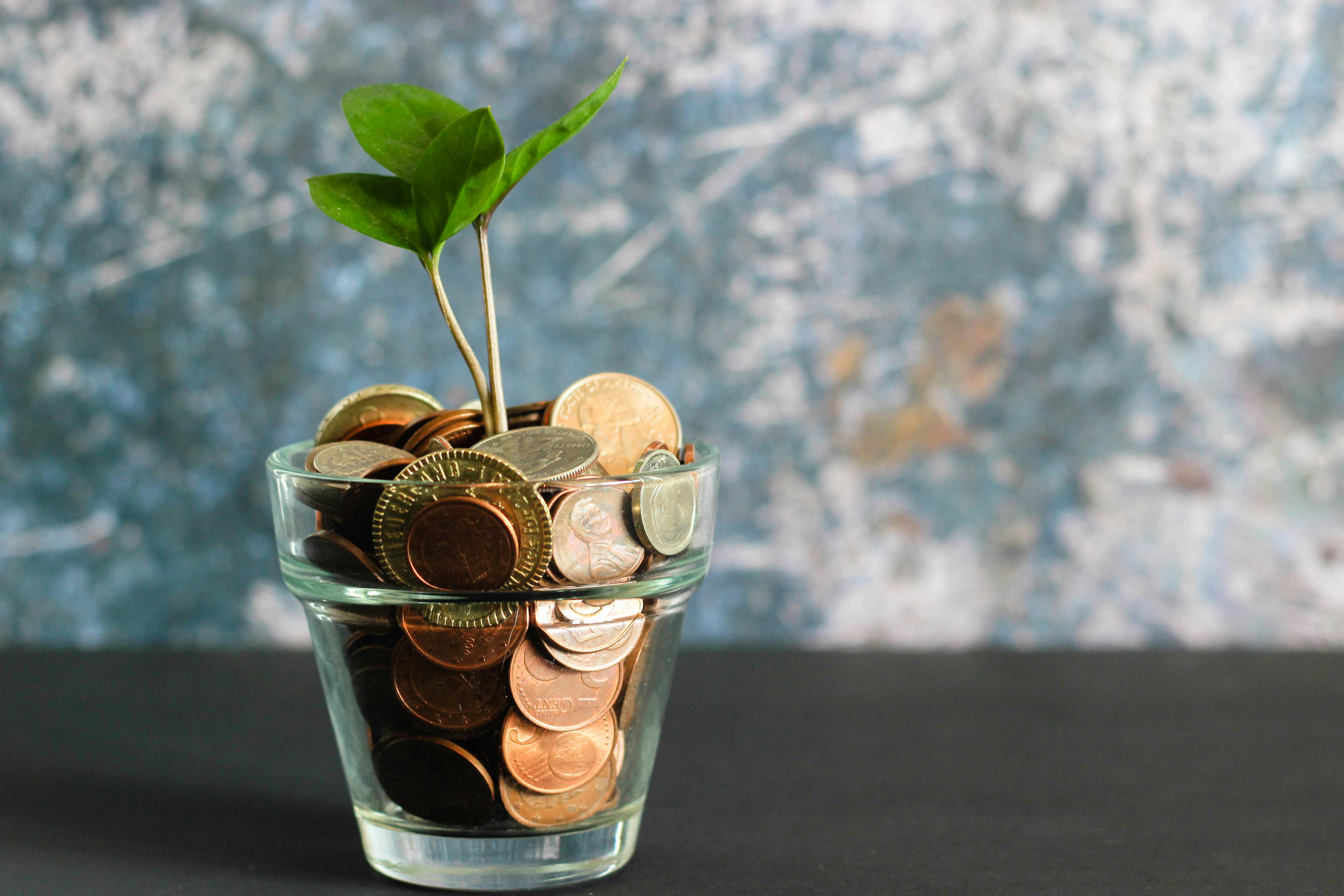 Imagem de consultoria fiscal